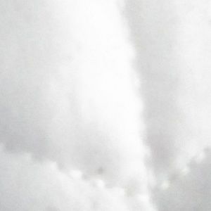 Meet your Posher, Larry